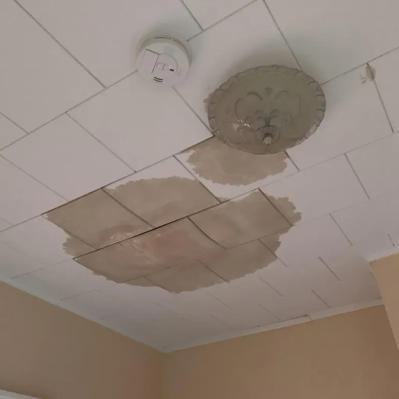 Ceiling Water Damage Repair in Howard County, IN