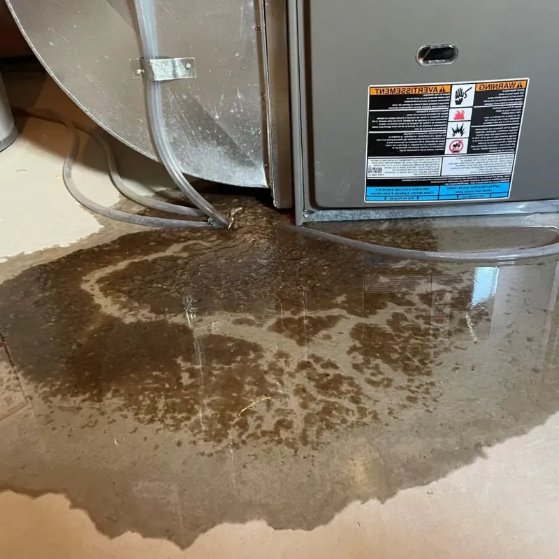 Pipe Burst and Leak Restoration in Howard County, IN