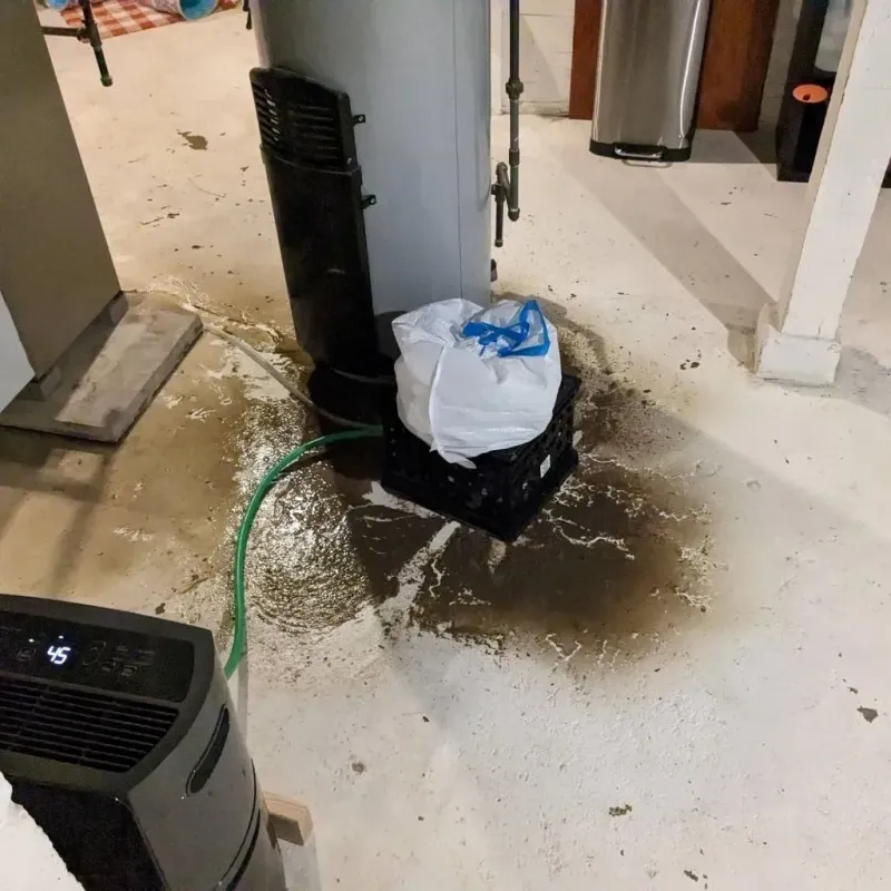 Sewage Backup Cleanup Service in Howard County, IN
